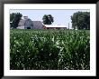 Barns On Farm, Hudson, Illinois, Midwest, Usa by Ken Gillham Limited Edition Print