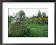 Battle Site, Culloden Moor, Highland Region, Scotland, United Kingdom by Adam Woolfitt Limited Edition Print