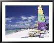 Beach, Marco Island, Florida, Usa by John Miller Limited Edition Pricing Art Print