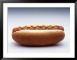 Hot Dog With Mustard And Relish by Howard Sokol Limited Edition Print