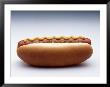 Hot Dog With Mustard And Relish by Howard Sokol Limited Edition Pricing Art Print