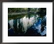 El Capitan Reflected In The Merced River, Yosemite National Park, Usa by John Elk Iii Limited Edition Pricing Art Print