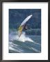 Windsurfing In Hood River, Oregon, Usa by Lee Kopfler Limited Edition Print