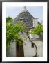 House Detail, Unesco World Heritage Site, Terra Dei Trulli, Alberobello, Puglia, Italy by Walter Bibikow Limited Edition Print