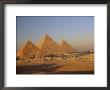 A Man On A Donkey In The Desert Near The Great Pyramids Of Giza by Kenneth Garrett Limited Edition Print