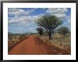View Of A Red Earth Road In Tsavo West Park by Marc Moritsch Limited Edition Print