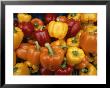 Red, Orange And Yellow Bell Peppers On Display In A Venice Market by Todd Gipstein Limited Edition Print