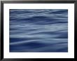View Of Calm Blue Water Off The Coast Of The Hawaiian Islands by Bill Curtsinger Limited Edition Print