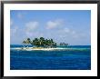 Small Palm Tree Covered Islands In Blue Seas Off The Coast Of Belize by Wolcott Henry Limited Edition Pricing Art Print
