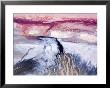 Colorful River Delta In Saline Lake Natron, Rift Valley, Tanzania by Michael Fay Limited Edition Pricing Art Print