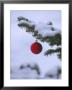 X Mas Ornament On Tree by Mike Robinson Limited Edition Print