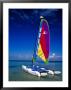 Catamarans, Florida Keys, Florida, Usa by Terry Eggers Limited Edition Print