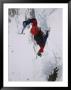 An Ice Climber In Lee Vining Canyon In The Sierra Nevada Mountains by Gordon Wiltsie Limited Edition Print