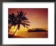 Silhouette Of Palm Trees And Desert Island At Sunrise, Rarotonga, Cook Islands, South Pacific by Dominic Webster Limited Edition Print