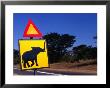 Warning Sign On Road Victoria Falls Park, Matabeleland North, Zimbabwe by John Borthwick Limited Edition Print