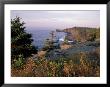 Cliffs, Maine, Usa by Jerry & Marcy Monkman Limited Edition Print