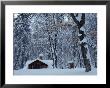 Log Cabin In Snowy Woods, Chippewa County, Michigan, Usa by Claudia Adams Limited Edition Print