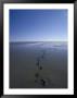 Footprints In The Mud Move Off Toward The Distant Horizon by Jason Edwards Limited Edition Print