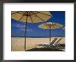 Pool Umbrella, Cabo San Lucas, Mexico by Jennifer Broadus Limited Edition Print