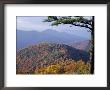 Autumn Forest Landscape Near Loft Mountain, Shenandoah National Park, Virginia, Usa by James Green Limited Edition Pricing Art Print