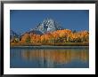 Mt. Moren, Oxbow Bend, Grand Tetons National Park, Wyoming, Usa by Dee Ann Pederson Limited Edition Print