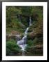 Waterfall, Dogwood Canyon, Arizona by Sherwood Hoffman Limited Edition Pricing Art Print