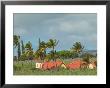 Back Country Church In Sugar Cane Field, Kauai, Hawaii, Usa by Terry Eggers Limited Edition Print
