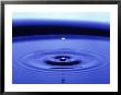 Water Drop In Blue Puddle by Arnie Rosner Limited Edition Print