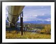 Trans Alaska Oil Pipeline Across Taiga Through Alaskan Range Carried On Insulated Ground Piles by Anthony Waltham Limited Edition Print