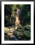 Diamond Falls, St. Lucia, Windward Islands, Caribbean, West Indies, Central America by Lee Frost Limited Edition Print