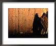 Local Man At Bolivia-Peru Border Near Town Of Puerto Acosta, Bolivia by Woods Wheatcroft Limited Edition Print