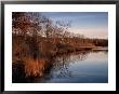 Mashomack Nature Preserve On Shelter Island, New York, Usa by Angus Oborn Limited Edition Print