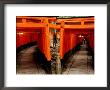 Torri Gates Lining Mountain Pathways At Fushimi-Inari, Kyoto, Japan by Frank Carter Limited Edition Print