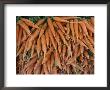 Stacks Of Carrots At An Open-Air Vegetable Market In Macon by Todd Gipstein Limited Edition Print