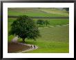 Bicycling In Basel Land, Jura Mountains, Switzerland by David Barnes Limited Edition Print