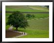 Bicycling In Basel Land, Jura Mountains, Switzerland by David Barnes Limited Edition Pricing Art Print