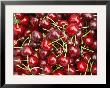 Cherries, Ripponvale, Near Cromwell, Central Otago, South Island, New Zealand by David Wall Limited Edition Print