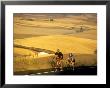 Road Cyclists Biking Through Wheat Harvest, Near Pullman, Washington, Usa by Chuck Haney Limited Edition Print