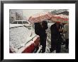 Muslim Uygur People Walk Through The Snow Under Umbrellas In Beijing by Eightfish Limited Edition Pricing Art Print