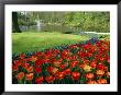 Keukenhof Gardens, Keukenhof, Netherlands by Chris Kober Limited Edition Pricing Art Print