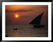 Dhow At Sunset, Tanzania by Ariadne Van Zandbergen Limited Edition Print