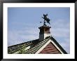 A Flying Pig Weather Vane On A Roof Top by Darlyne A. Murawski Limited Edition Print