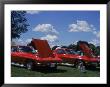 Classic Corvettes Car Show, Southboro, Ma by Rick Berkowitz Limited Edition Print