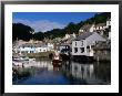 Fishing Harbour And Houses In Seaside Village, Polperro, United Kingdom by Chris Mellor Limited Edition Print