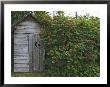 Outhouse Built In 1929 Surrounded By Blooming Elderberrys, Homer, Alaska, Usa by Dennis Flaherty Limited Edition Print