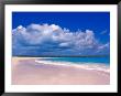 Pink Sand Beach, Harbour Island, Bahamas by Greg Johnston Limited Edition Print