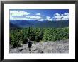 Hiking On Mt. Crawford, New Hampshire, Usa by Jerry & Marcy Monkman Limited Edition Print