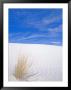 White Sands, New Mexico, Usa by Rob Tilley Limited Edition Print