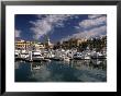 Marina, Cabo San Lucas, Baja California, Mexico by Walter Bibikow Limited Edition Print