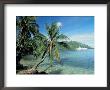 Moorea, Society Islands, French Polynesia by Peter Adams Limited Edition Print